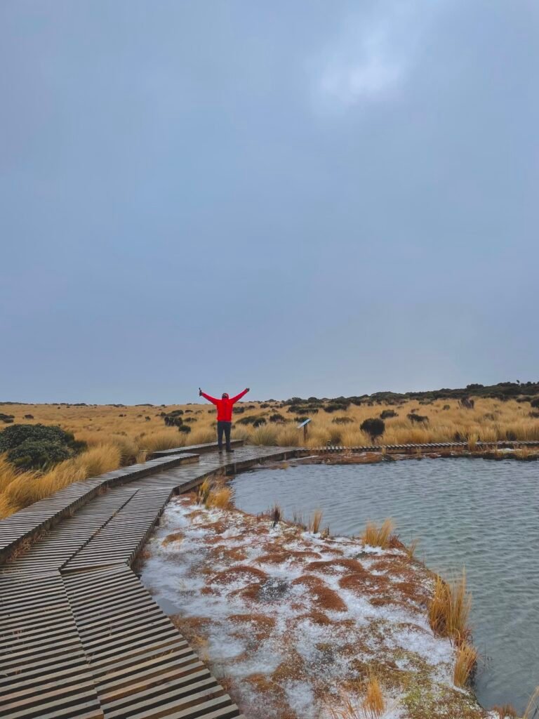 A man near the lake