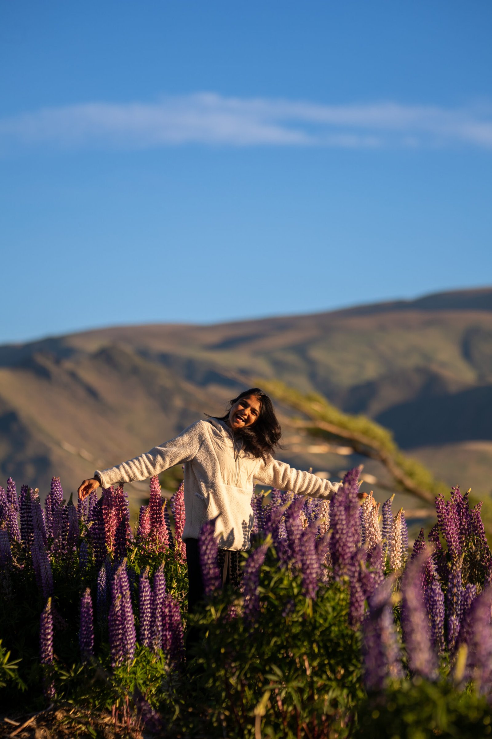 Person standing among lupin flowers near Omarama Cliffs with mountain landscape in New Zealand
