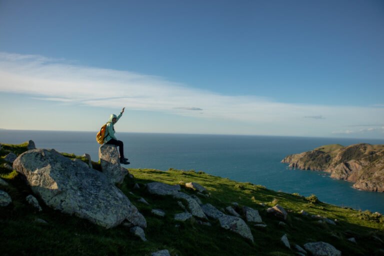 The Best New Zealand Travel Apps for Your Road Trip (2026)