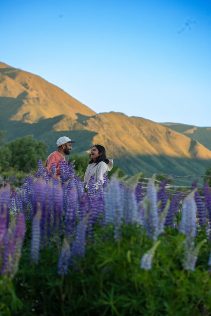 A Couple Enjoying In The Lupin Field in New Zealand