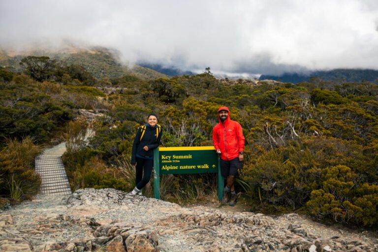 Best Time to Visit New Zealand