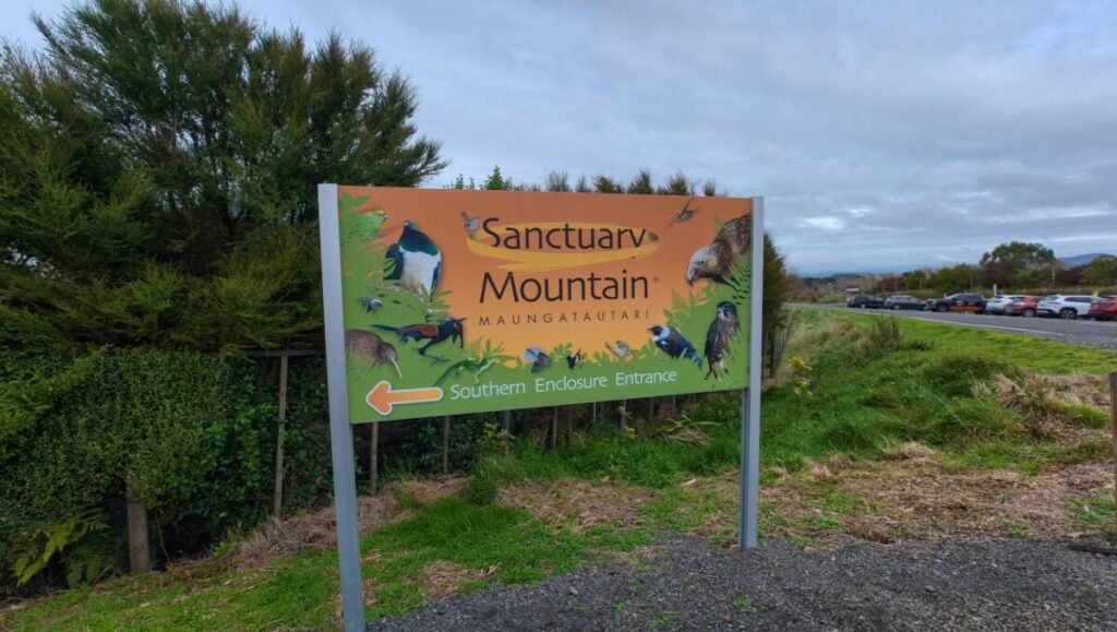Native New Zealand forest at Sanctuary Mountain Maungatautari ecological island near Rotorua