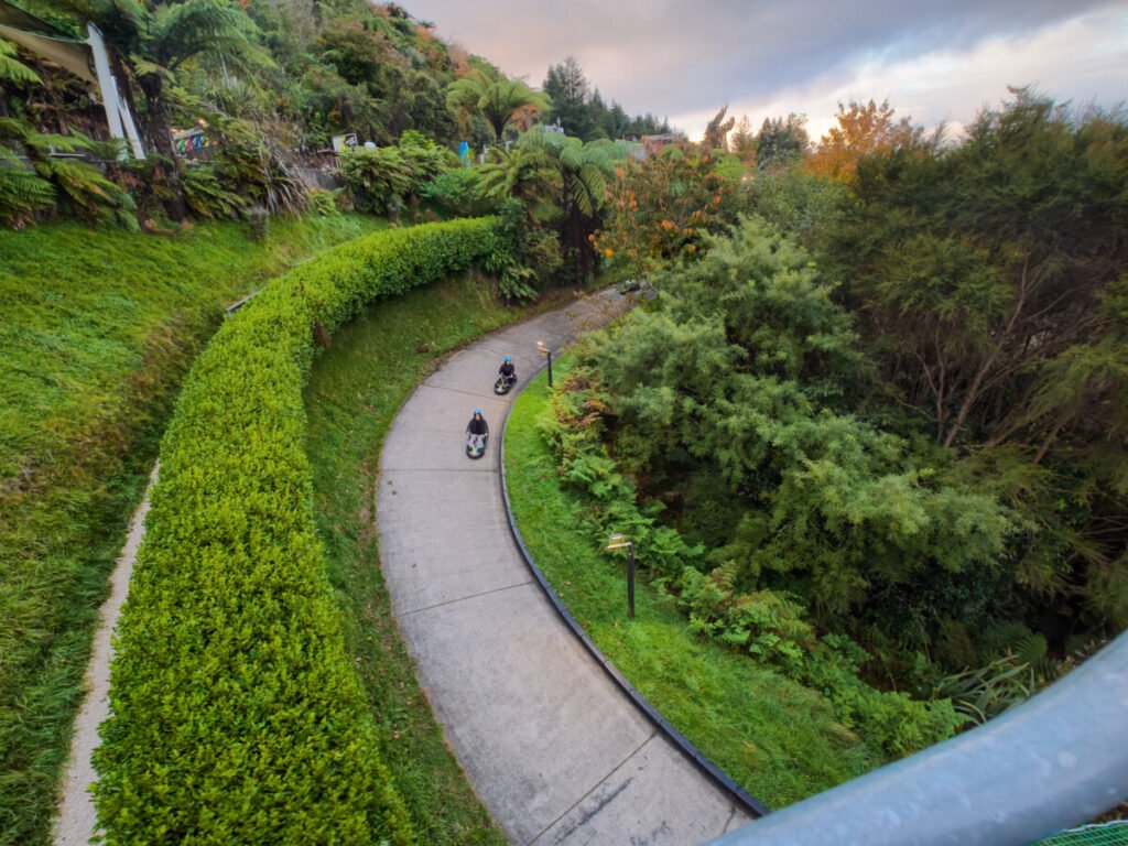 Downhill luge track at Rotorua Skyline with panoramic views over the city and lake
