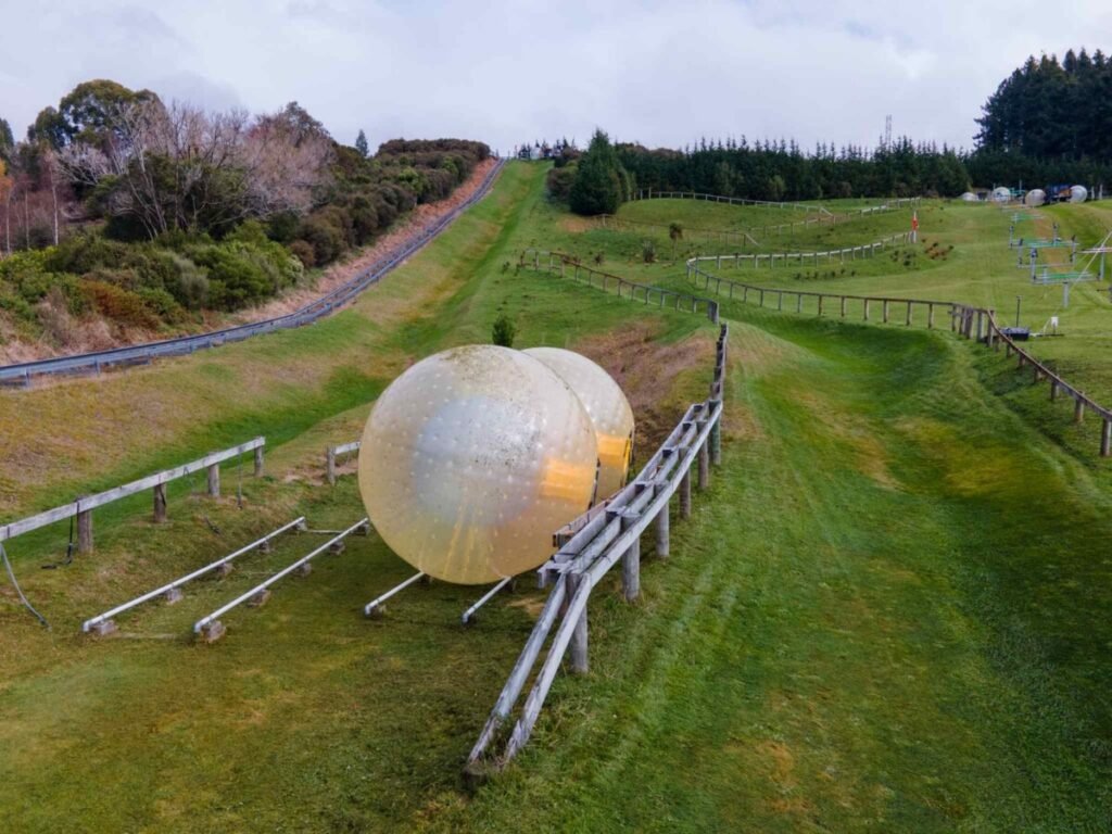 Giant inflatable ZORB ball rolling down a grassy hill at ZORB Rotorua adventure activity