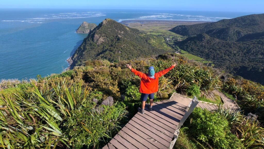 Walking trail on the Omanawanui Track in West Auckland