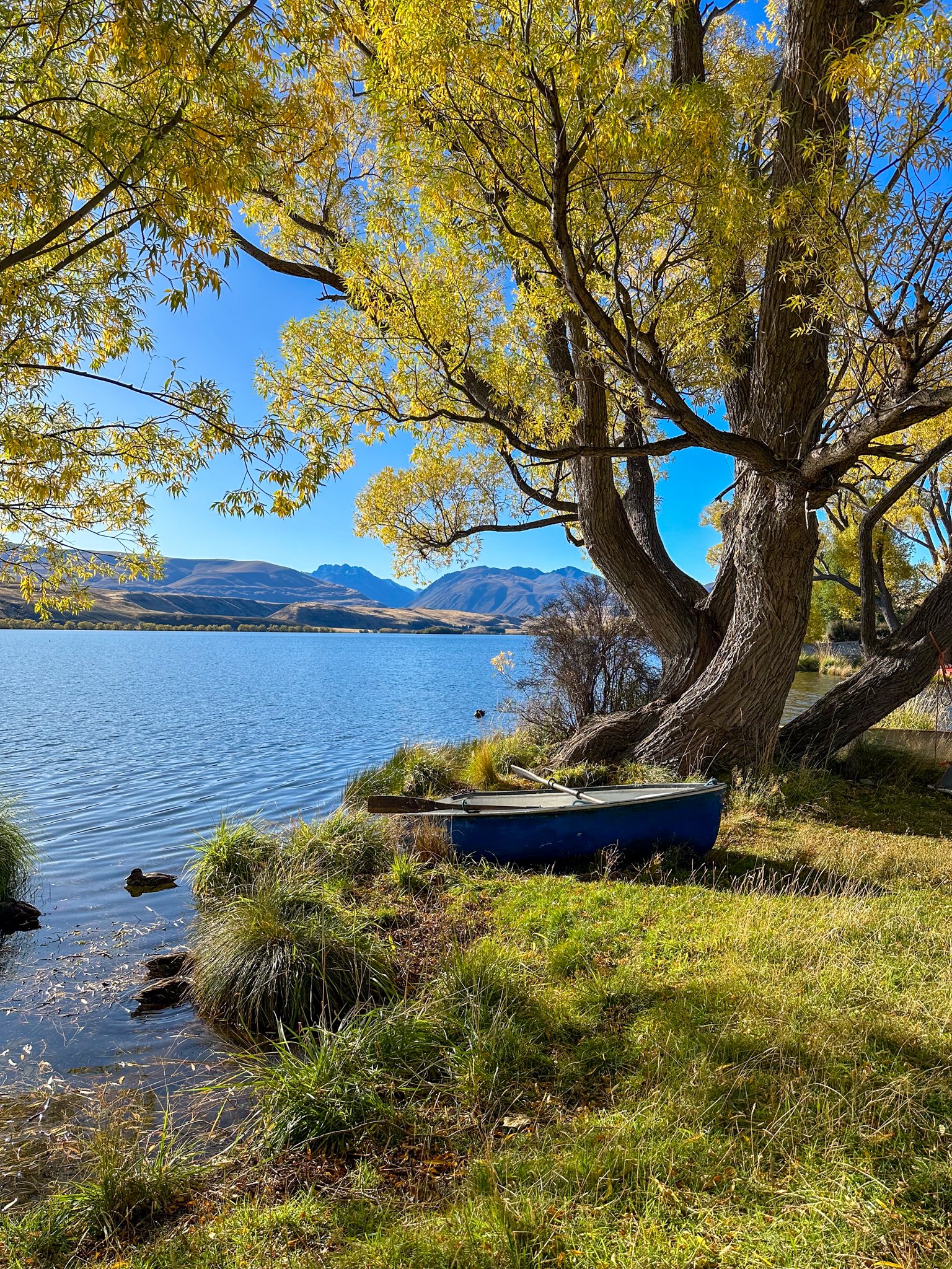 Autumn in New Zealand