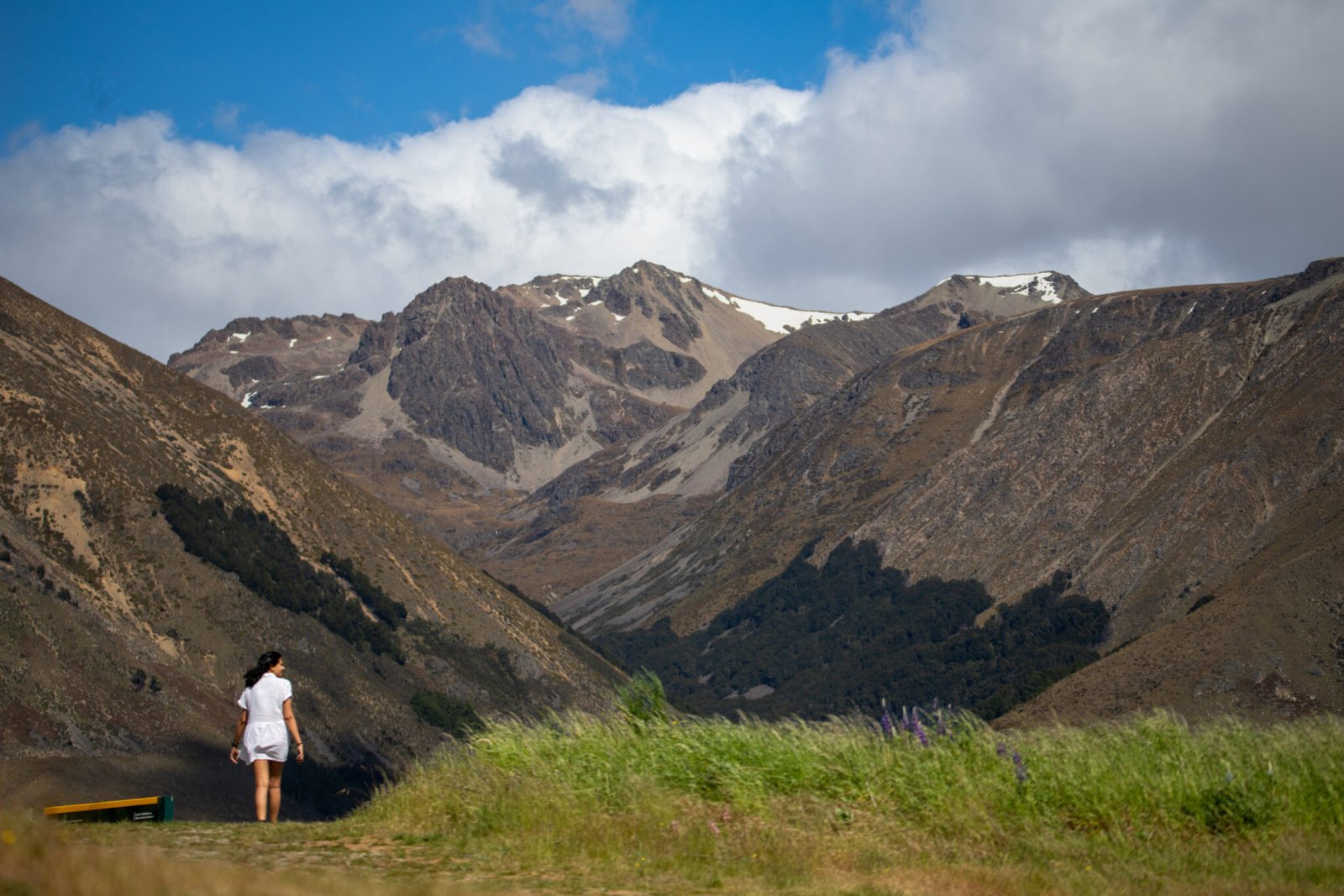 Summer in New Zealand
