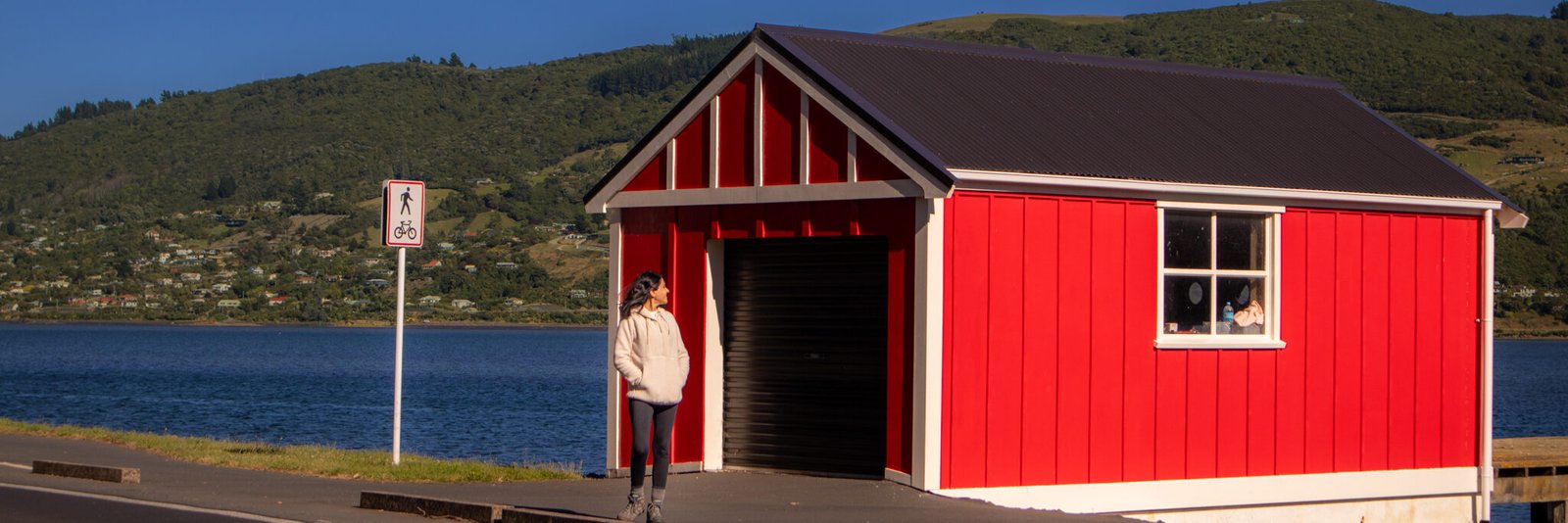 Dunedin and the Otago coast